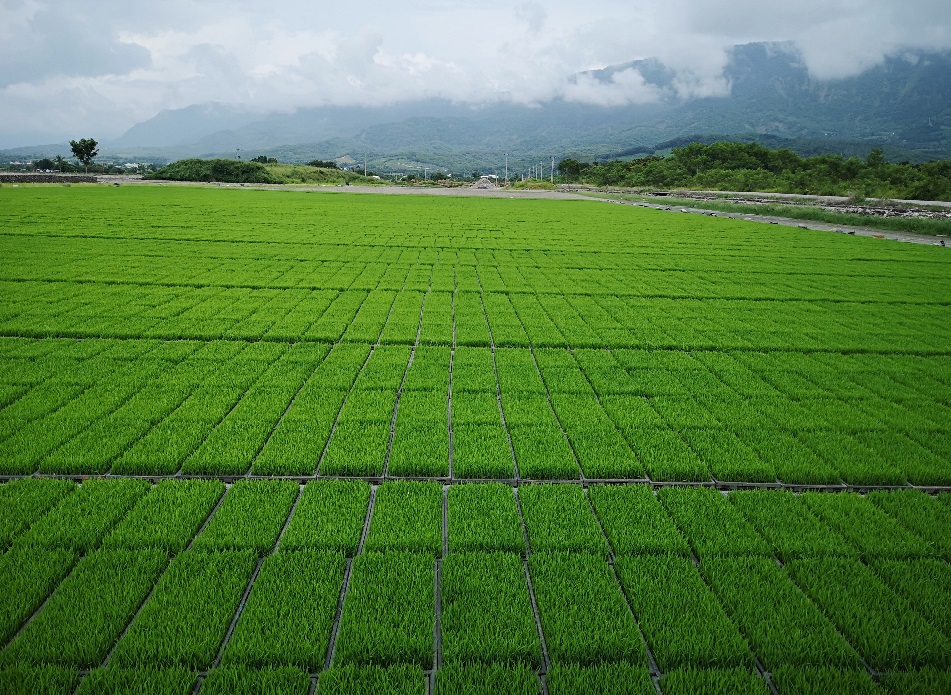 營運情形01