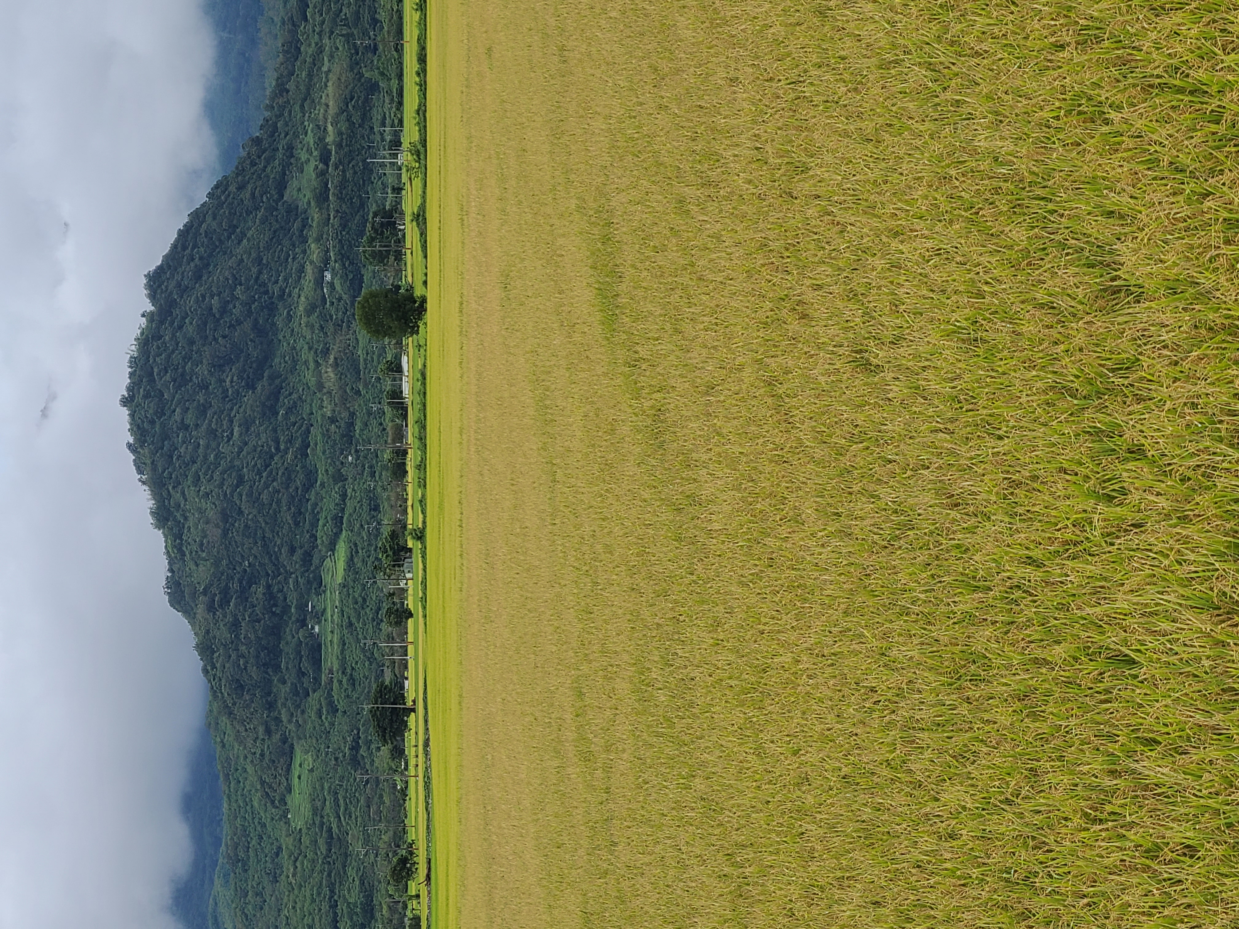營運情形02