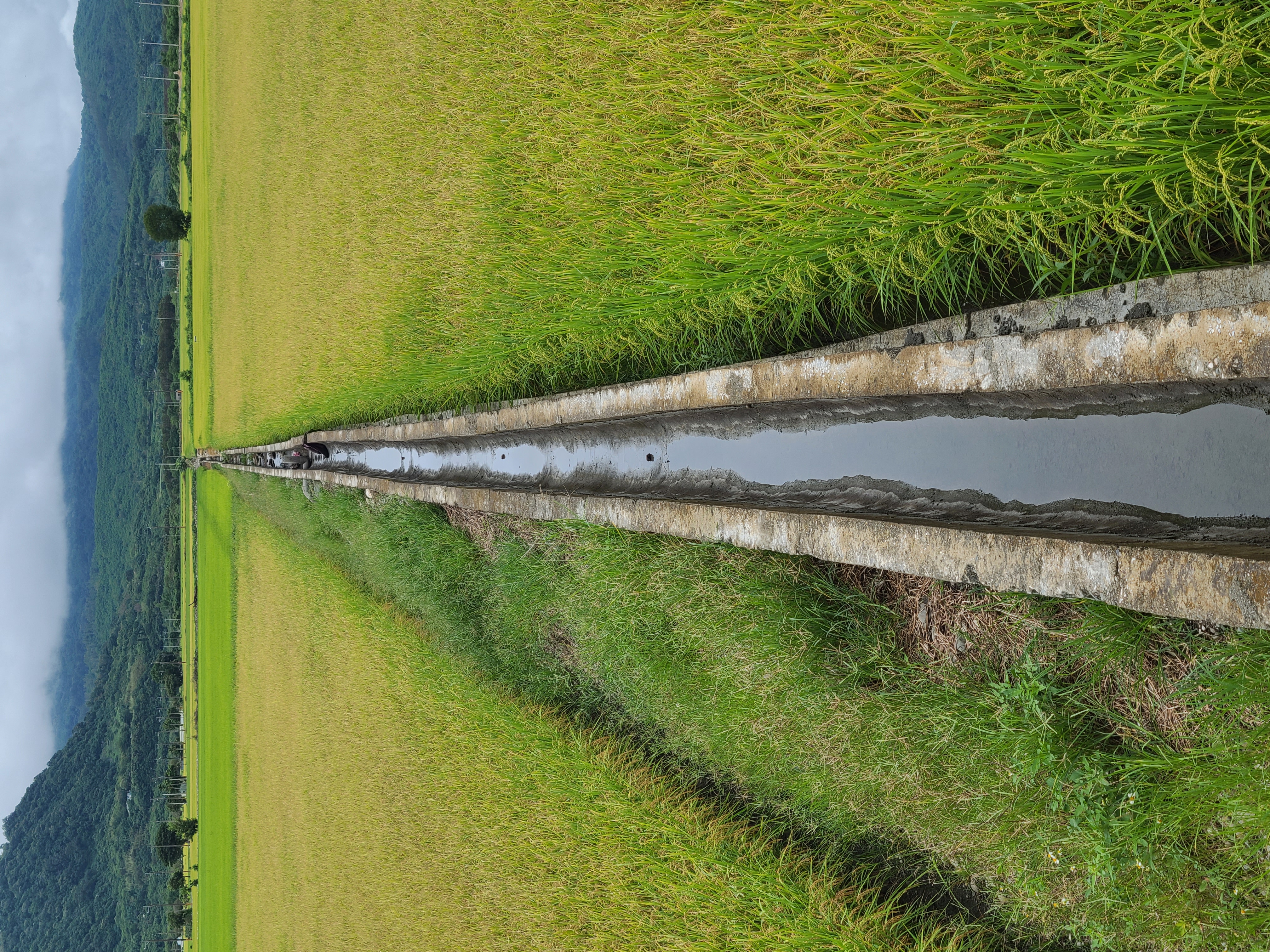 營運情形03