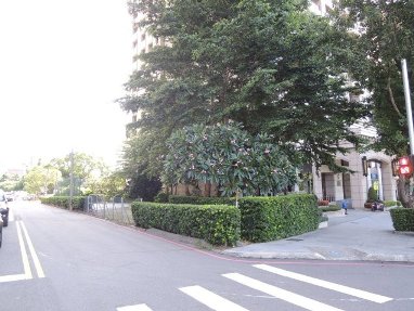 照片三