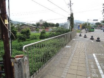 照片三