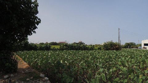 照片三