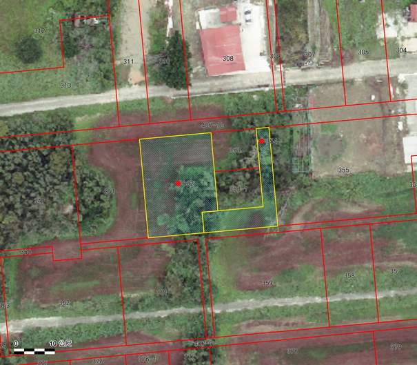照片一