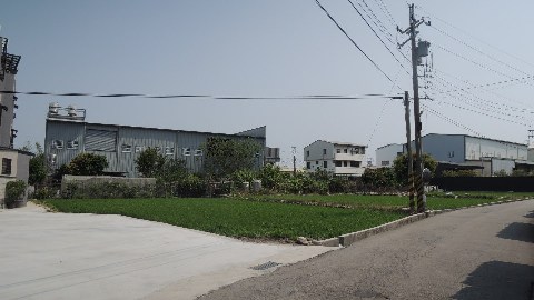 照片三