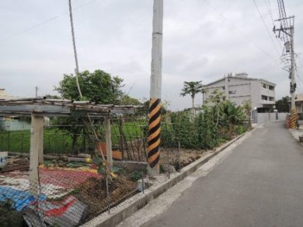 照片三