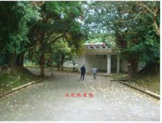 照片三