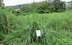 照片一
