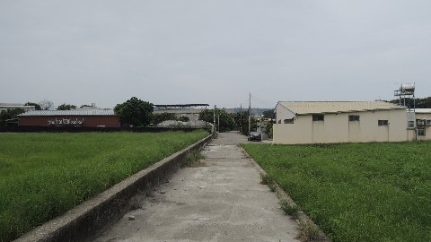 照片三