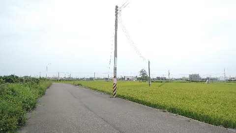 照片一