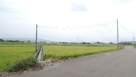 照片二