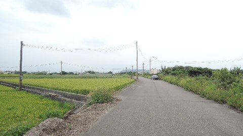 照片三