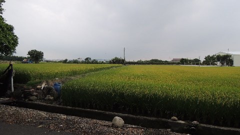 照片三