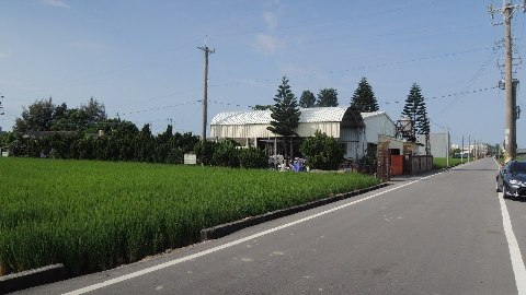 照片一