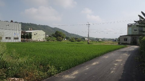 照片一