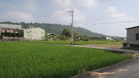 照片一