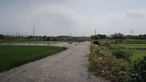照片一