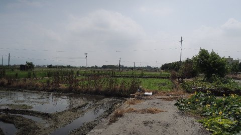 照片三