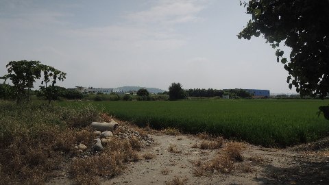 照片三