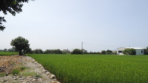 照片三