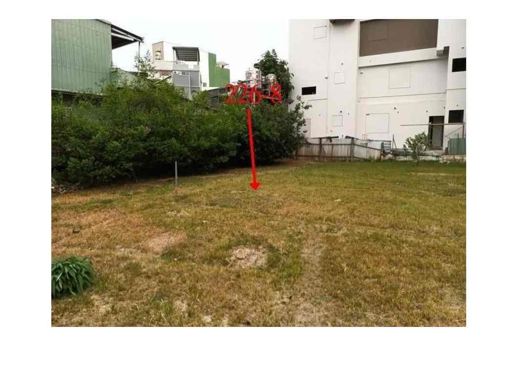 照片二