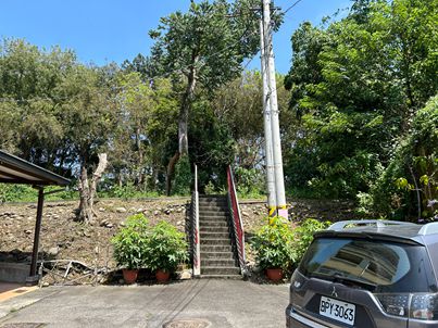 照片三