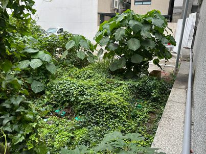 照片二