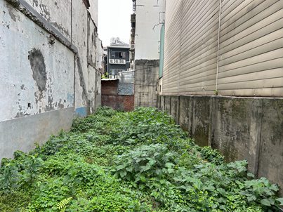 照片二