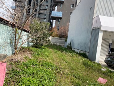 照片二
