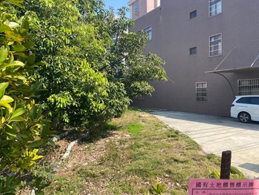 照片二