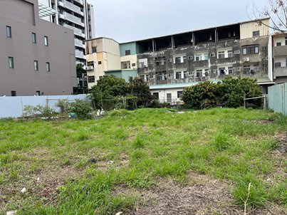 照片二