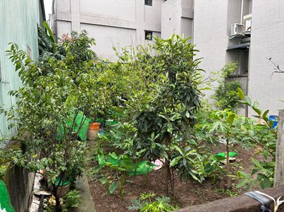 照片二