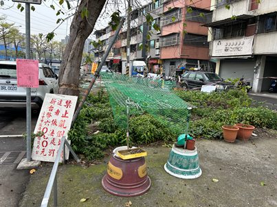 照片二