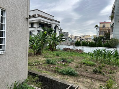 照片二