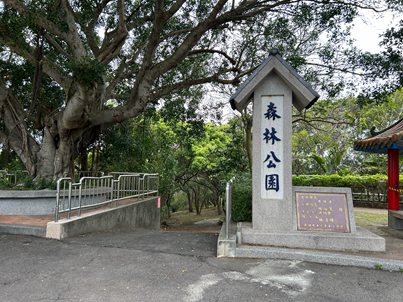 照片三