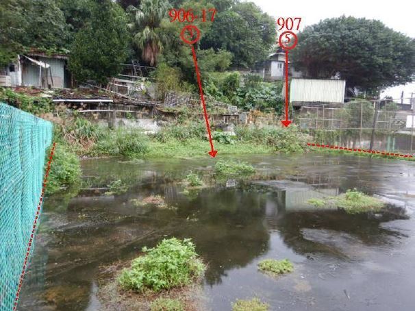 照片二