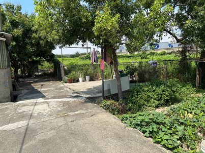 照片二