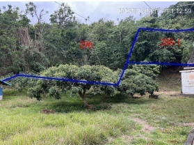 照片一