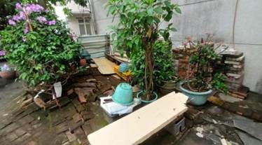 照片三