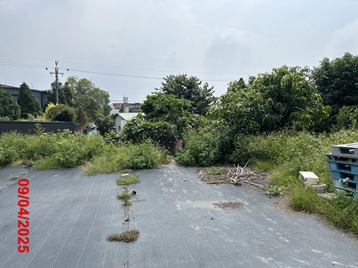 照片三