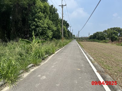 照片三