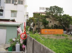 照片二