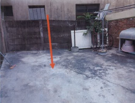 照片一