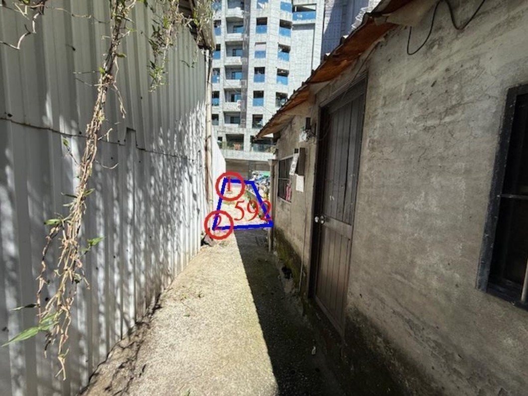 照片三