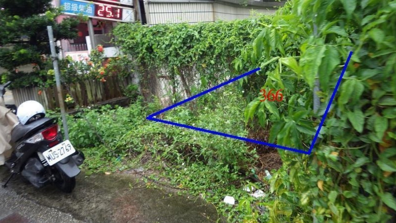 照片二