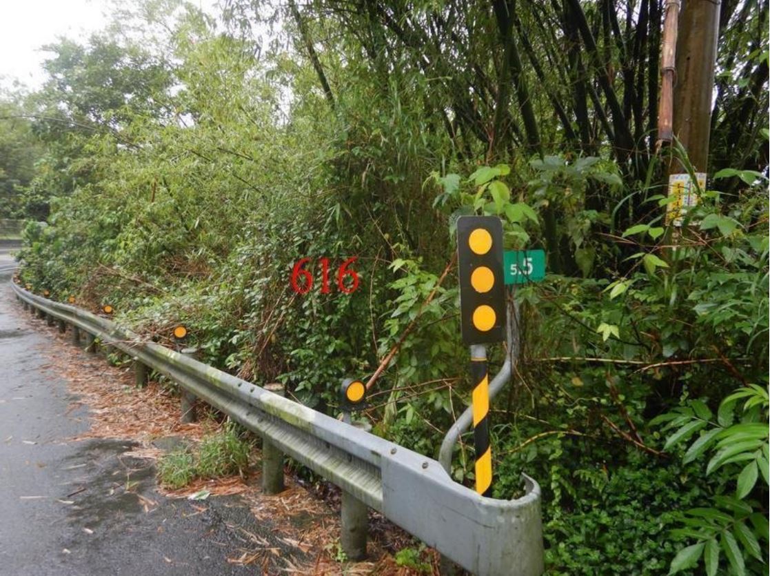 照片二