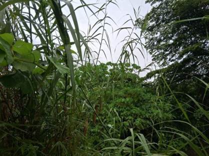 照片一