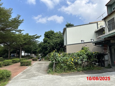 照片三