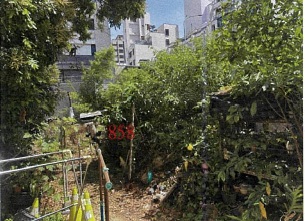 照片三