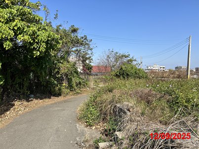 照片三