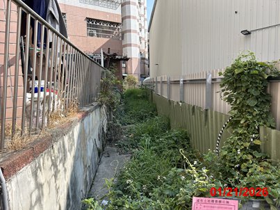 照片二